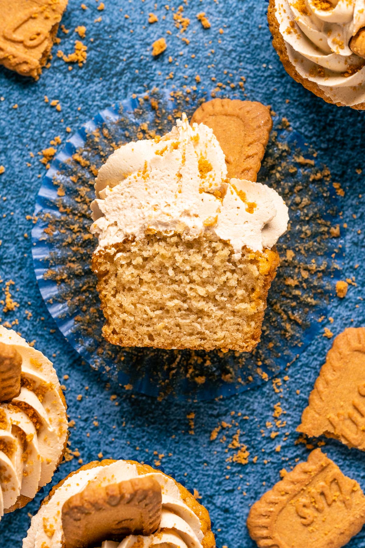 Vegan biscoff cupcake cut in half.