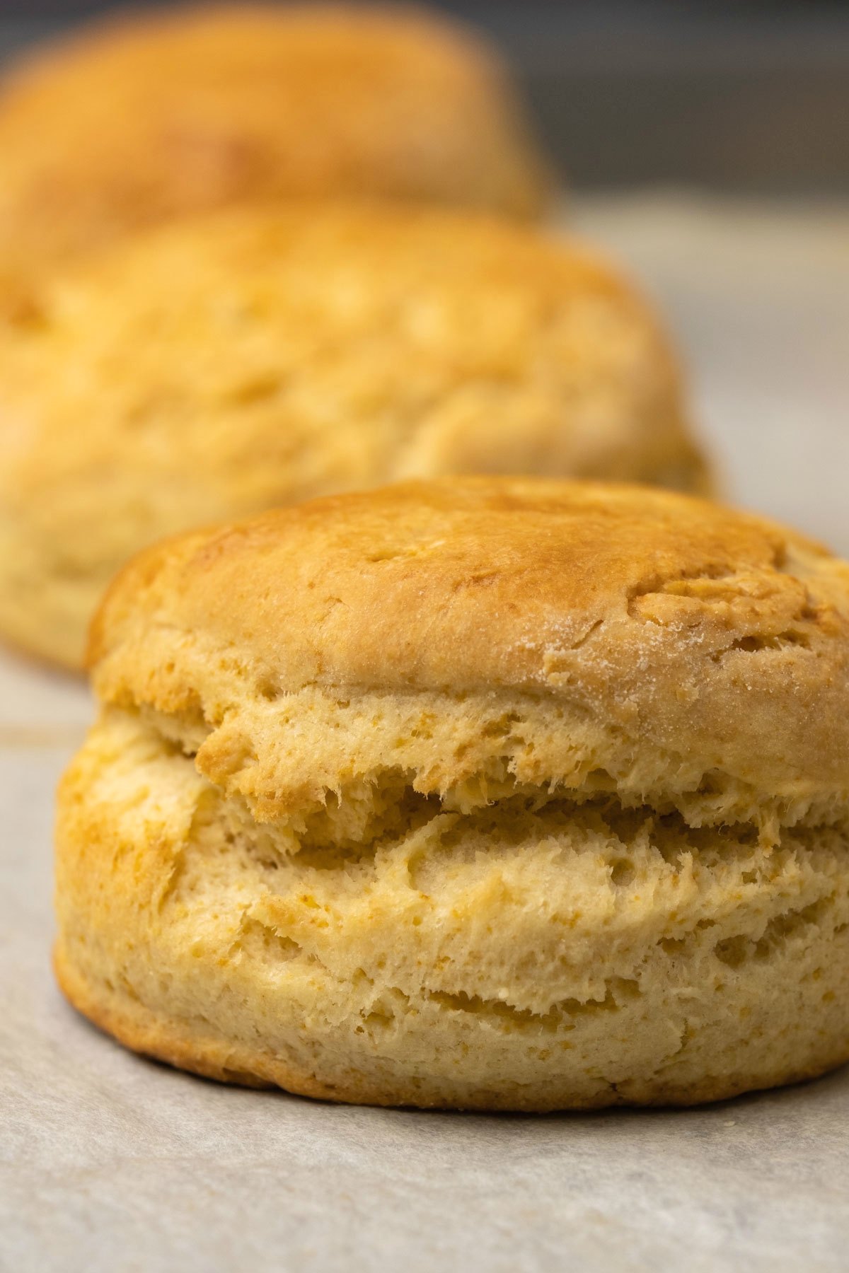 Freshly baked vegan biscuits on a parchment lined baking sheet. 