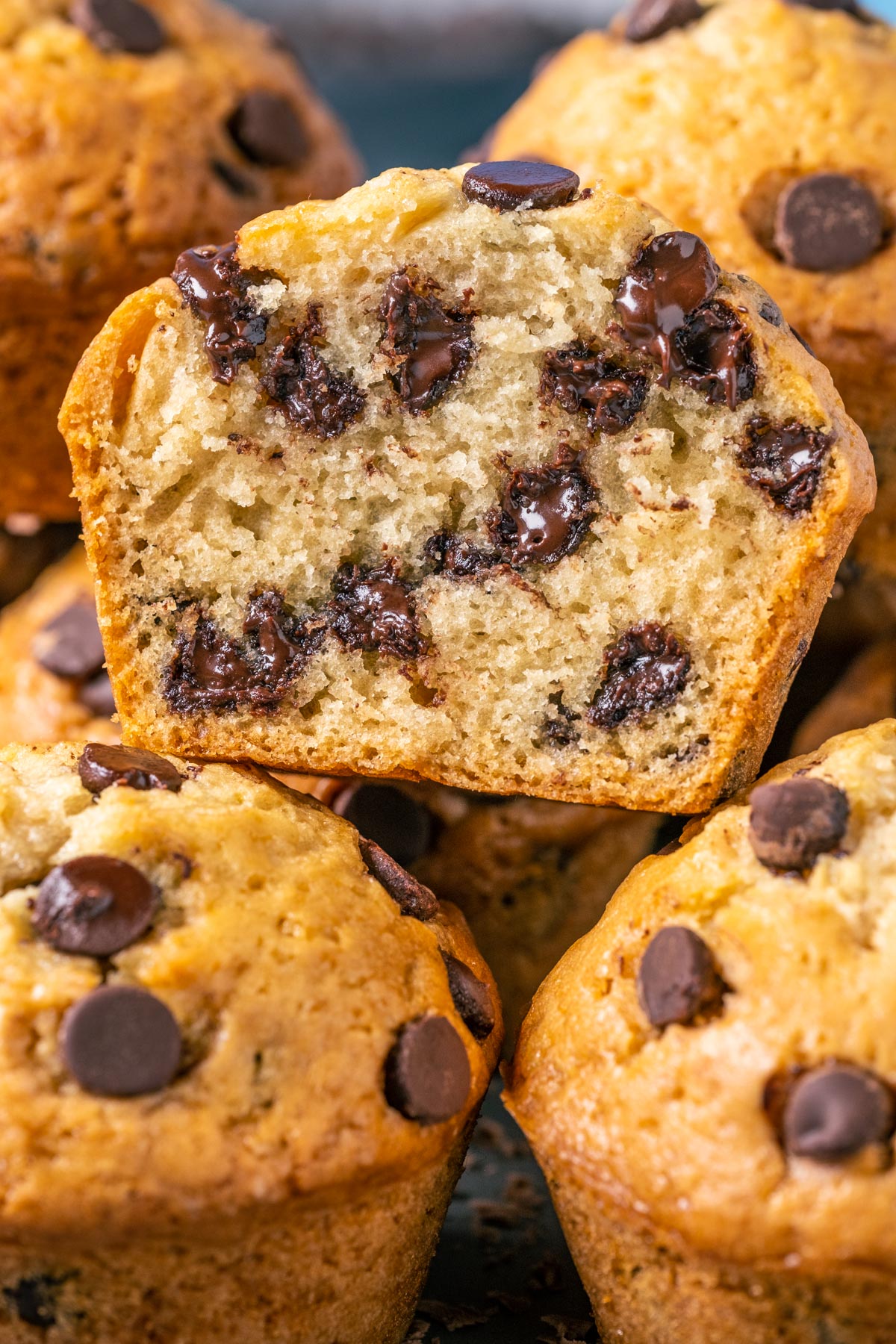 Vegan chocolate chip muffin cut in half.