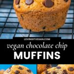 Vegan Chocolate Chip Muffins