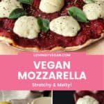 Vegan Mozzarella