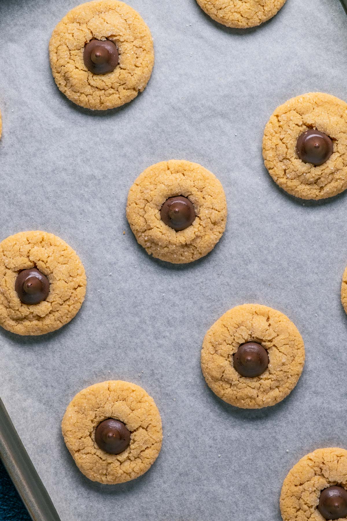 Vegan peanut butter blossoms on a parchment lined baking sheet.