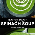 Vegan Spinach Soup